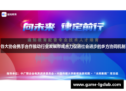 各大协会携手合作推动行业发展形成合力促进社会进步的多方协同机制