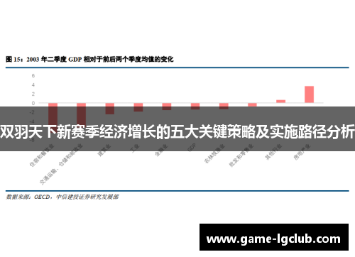 双羽天下新赛季经济增长的五大关键策略及实施路径分析