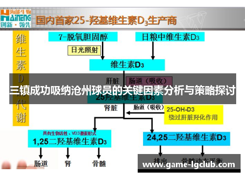 三镇成功吸纳沧州球员的关键因素分析与策略探讨