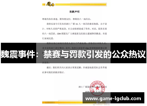 魏震事件：禁赛与罚款引发的公众热议