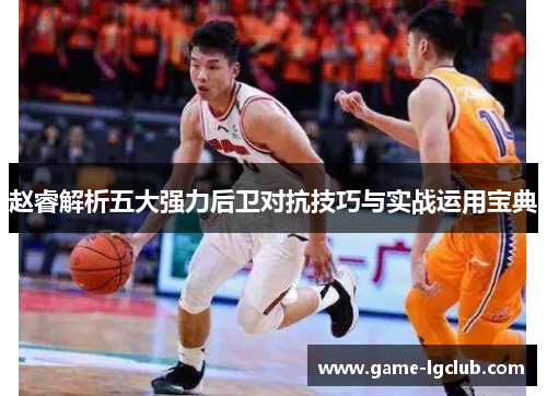 赵睿解析五大强力后卫对抗技巧与实战运用宝典