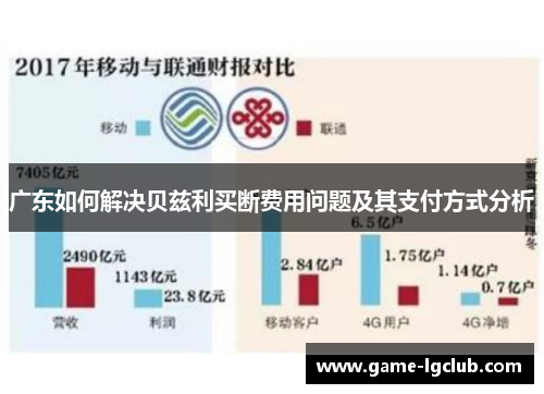 广东如何解决贝兹利买断费用问题及其支付方式分析
