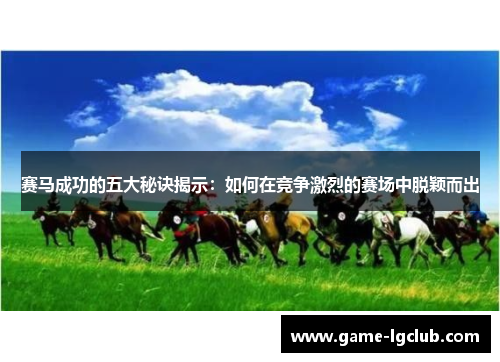 赛马成功的五大秘诀揭示：如何在竞争激烈的赛场中脱颖而出