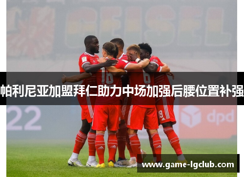 帕利尼亚加盟拜仁助力中场加强后腰位置补强